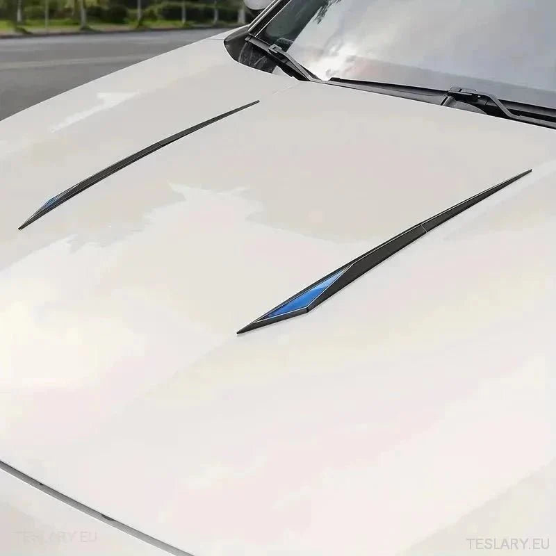 Chrome Plated Trim Accents for Side or Bonnet - TESLARY Tesla Shop Accessories Europe Nederlands Ireland Deutschland Espana Alicante France Italia