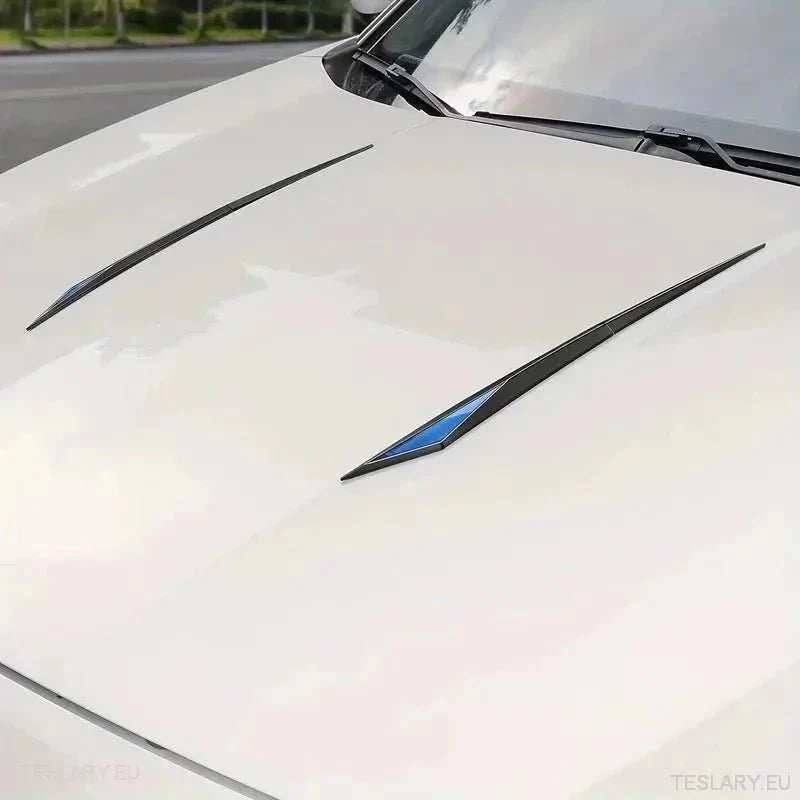 Chrome Plated Trim Accents for Side or Bonnet - TESLARY Tesla Shop Accessories Europe Nederlands Ireland Deutschland Espana Alicante France Italia