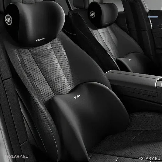 Memory Foam Neck Pillow & Back Support Cushion for All Tesla Models